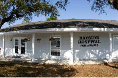 Companion Animal Hospital Fort Walton Beach Companion Animal Hospital Fort Walton Beach