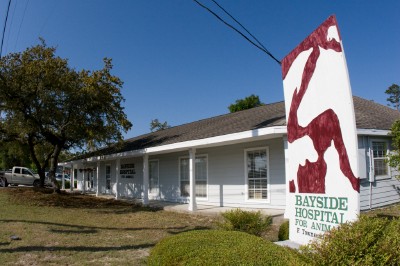 About Us - Bayside Hospital for Animals - Fort Walton Beach, FL