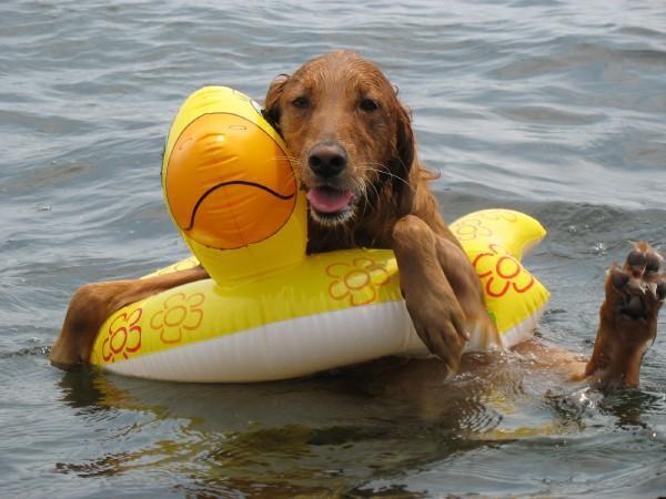 Anela & her rubber ducky