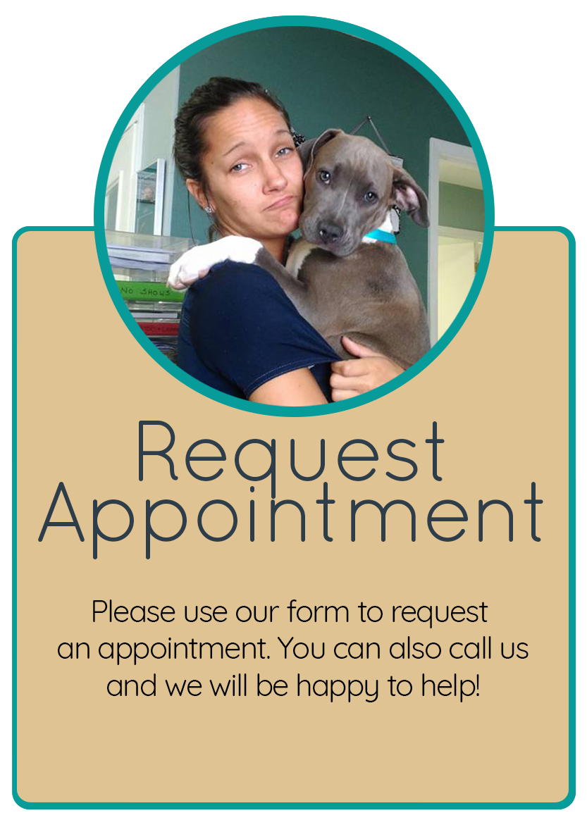 Request an Appointment